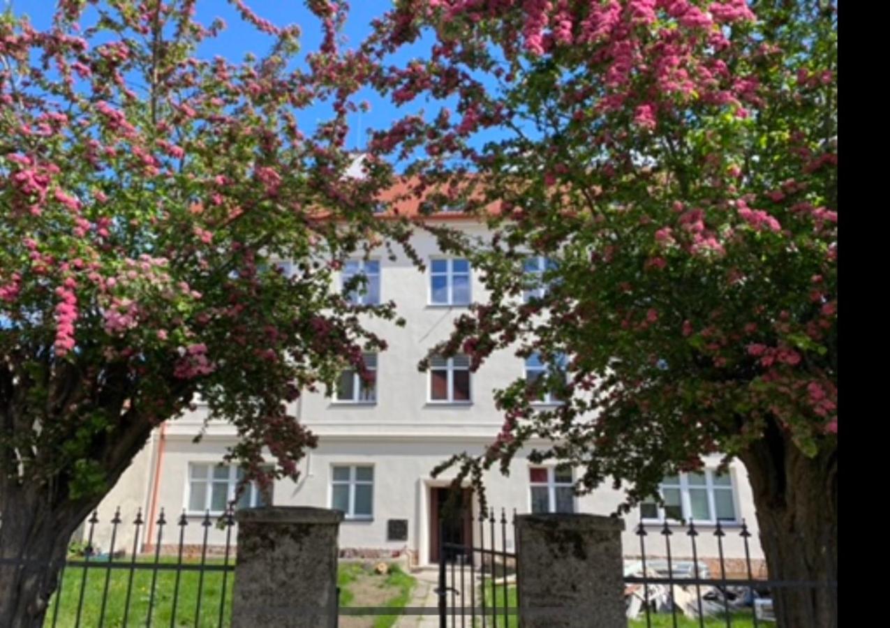 Apartamento Apartament 3 Pokojowy Z Parkingiem Zabkowice Slaskie Exterior foto